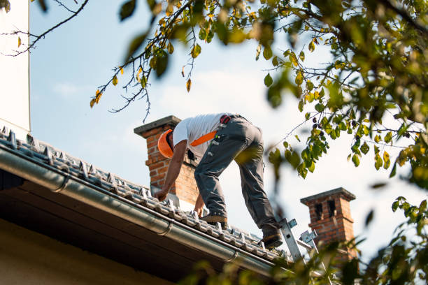 Best Roof Repair Services  in Big River, CA